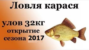 На что ловить карасей