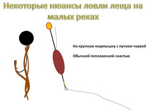 На что ловить леща
