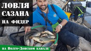 Как ловить сазана на фидер