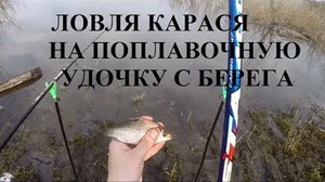 Как ловить весной карася