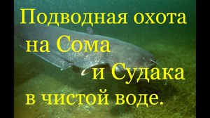 Как еще ловят сомов