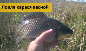 Место для рыбалки