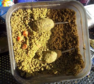 Особенности ловли