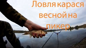 Как правильно делать приманку