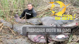 Сезонная охота на сома