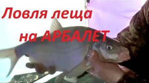 Снасти на леща
