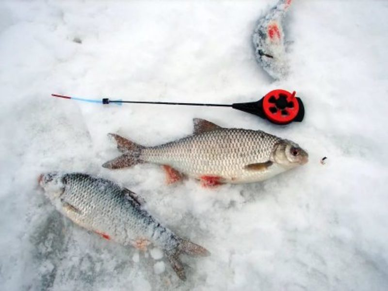 Ловля зимой на мормышку