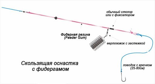 Ловля карася на фидер в стоячей воде: сбор снасти, секреты и тактика