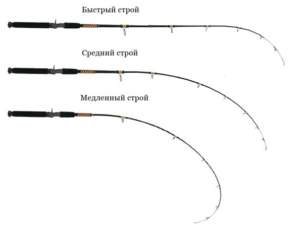 Строй фидера