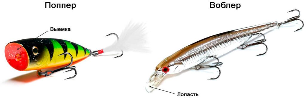 Поппер и воблер