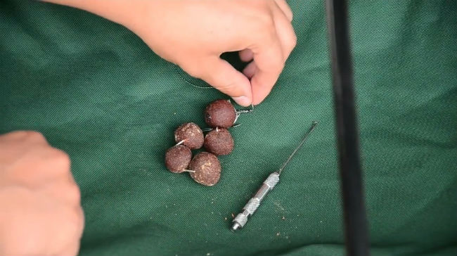 бойлы для ловли карпа