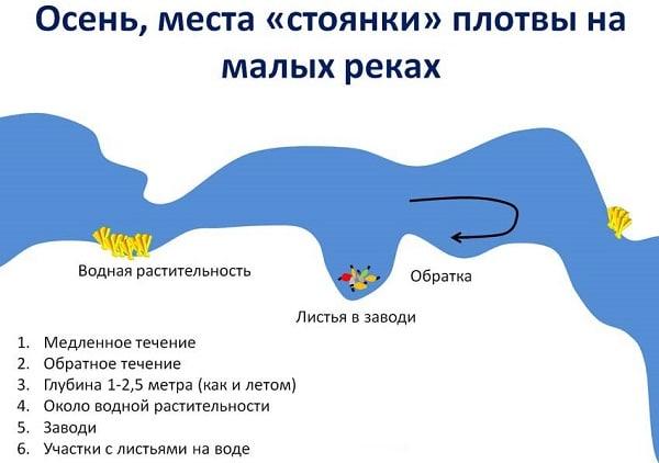 Места стоянки плотвы