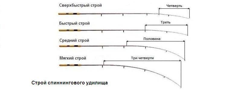 Строй спиннинга